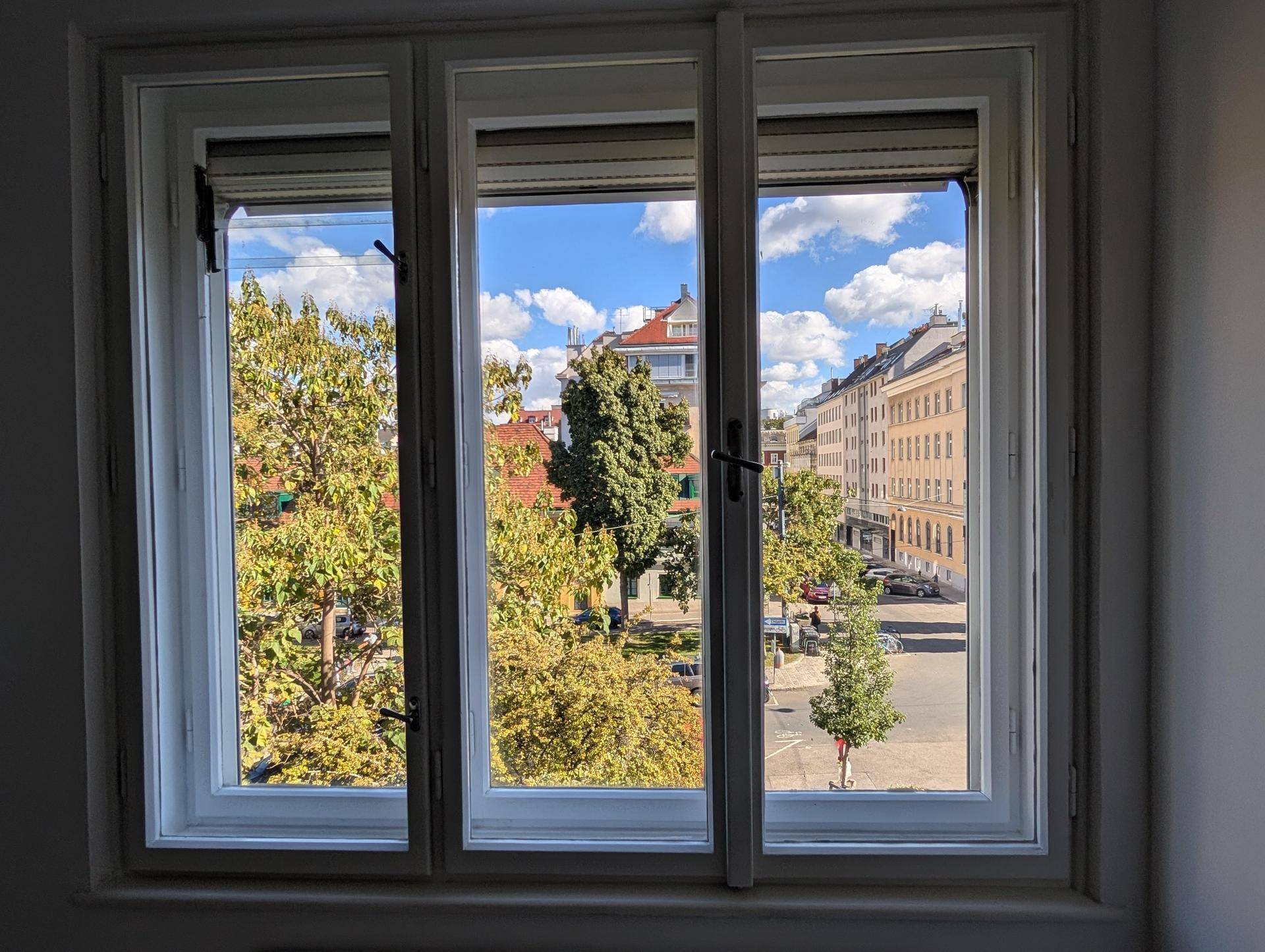 Weitblick aus dem Fenster über eine grüne Straße mit Bäumen und städtischen Gebäuden.