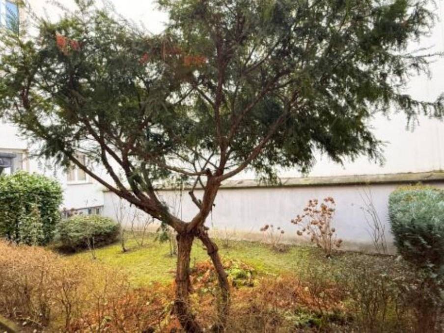 Kleiner Gartenbereich mit einem markanten Baum und verschiedenen Sträuchern, umgeben von einer Mauer.