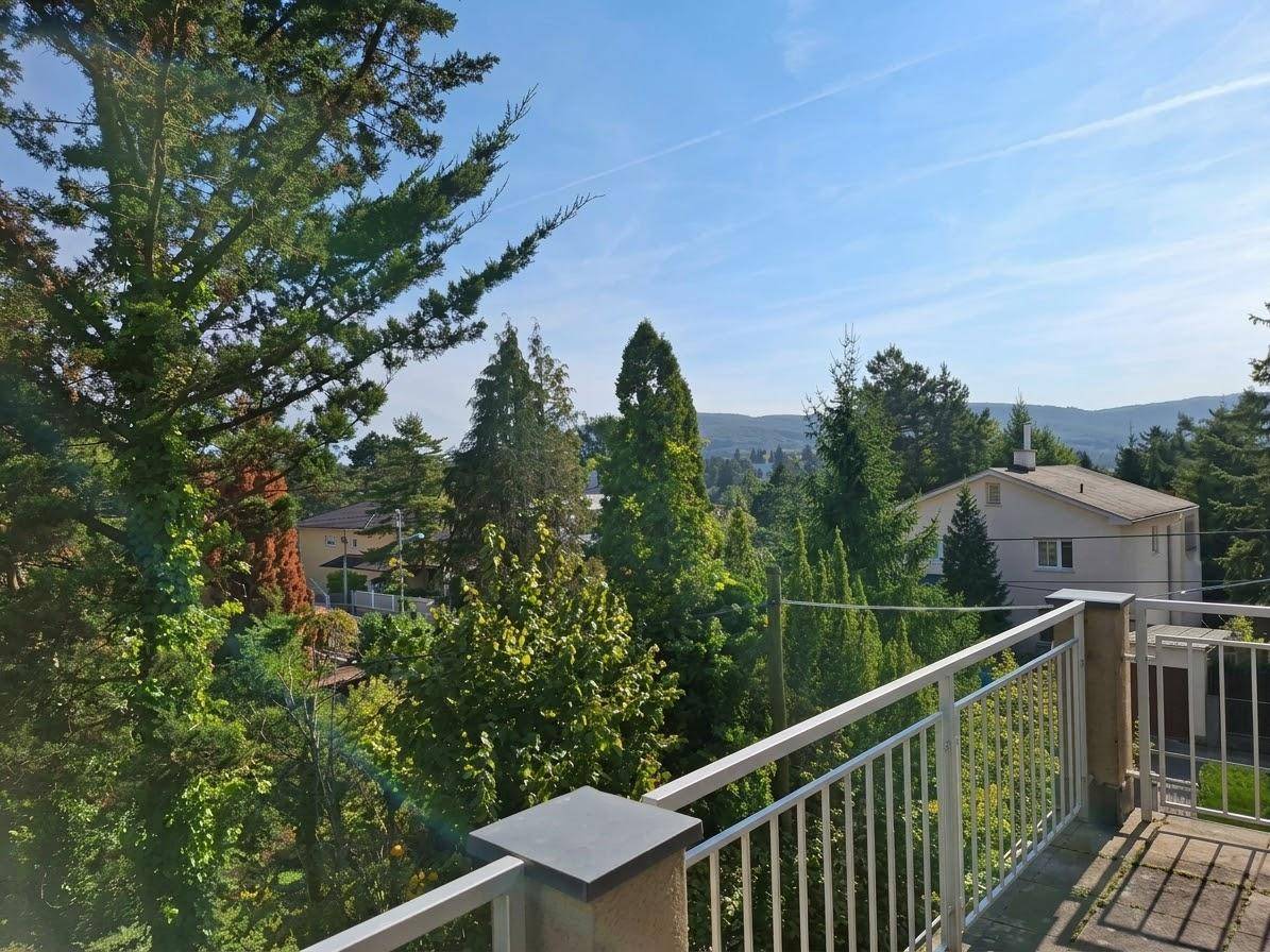 Weitläufiger Ausblick von der Terrasse über grüne Bäume und die umliegende Hügellandschaft.