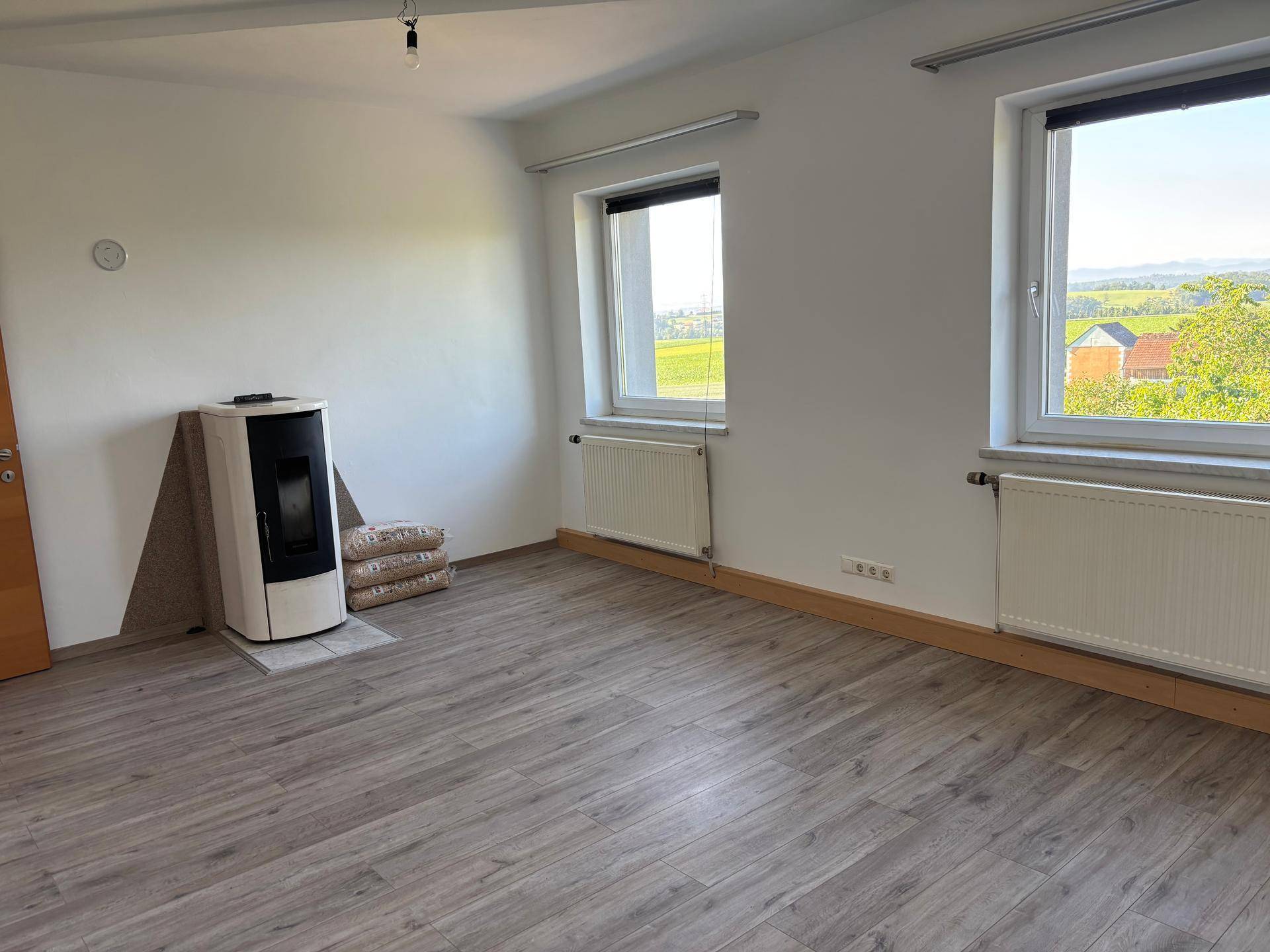 Geräumiges Wohnzimmer mit modernem Pelletofen, Laminatboden und weitem Ausblick.