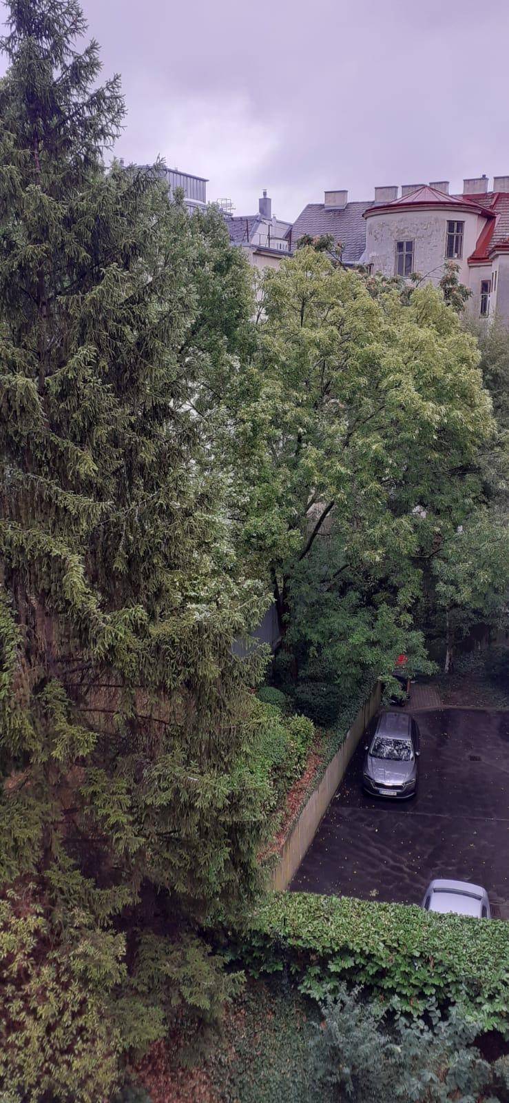 Blick aus dem Fenster auf grüne Bäume, einen Parkplatz und umliegende Gebäude.