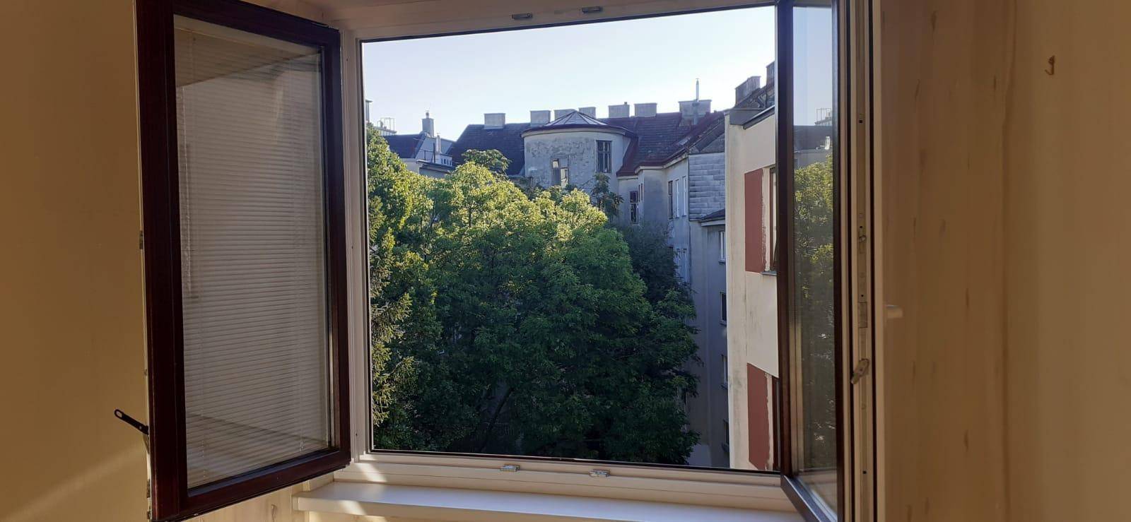 Grüner Ausblick aus dem Fenster auf Bäume und historische Gebäude.