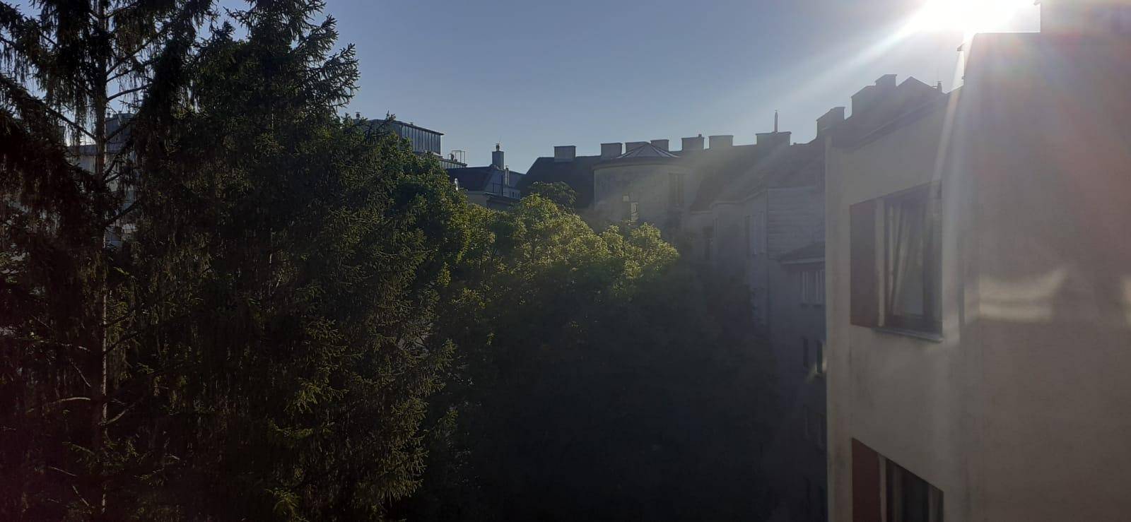 Sonnige Aussicht aus dem Fenster mit viel Grün und Gebäuden im Hintergrund.