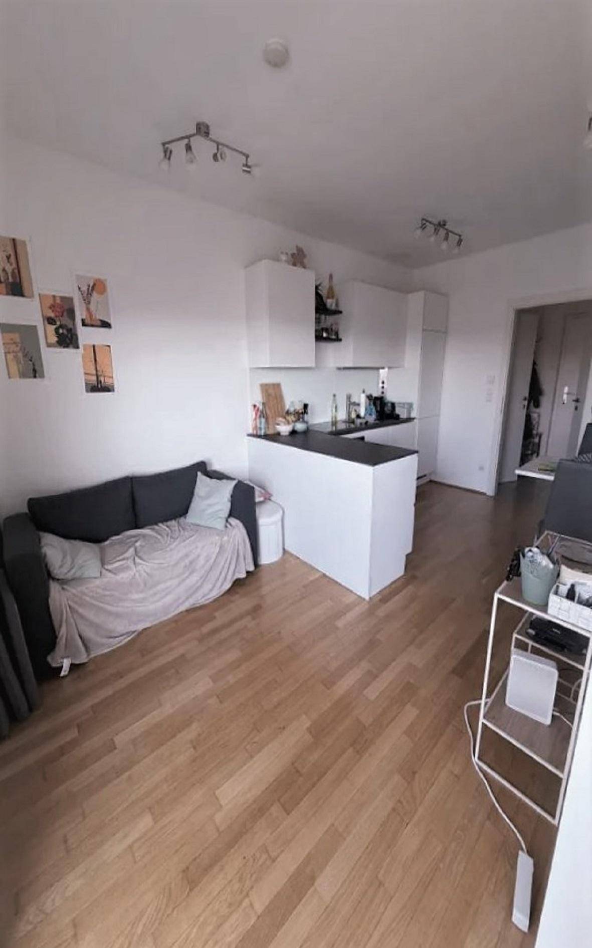 Offener Wohnbereich mit integrierter Küche, gemütlichem Sofa und hellem Holzfußboden.