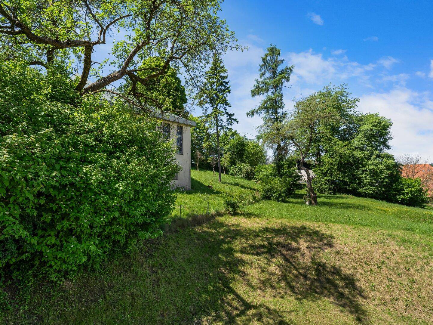 Großer, grüner Gartenbereich mit Bäumen und einer natürlichen Hanglage.