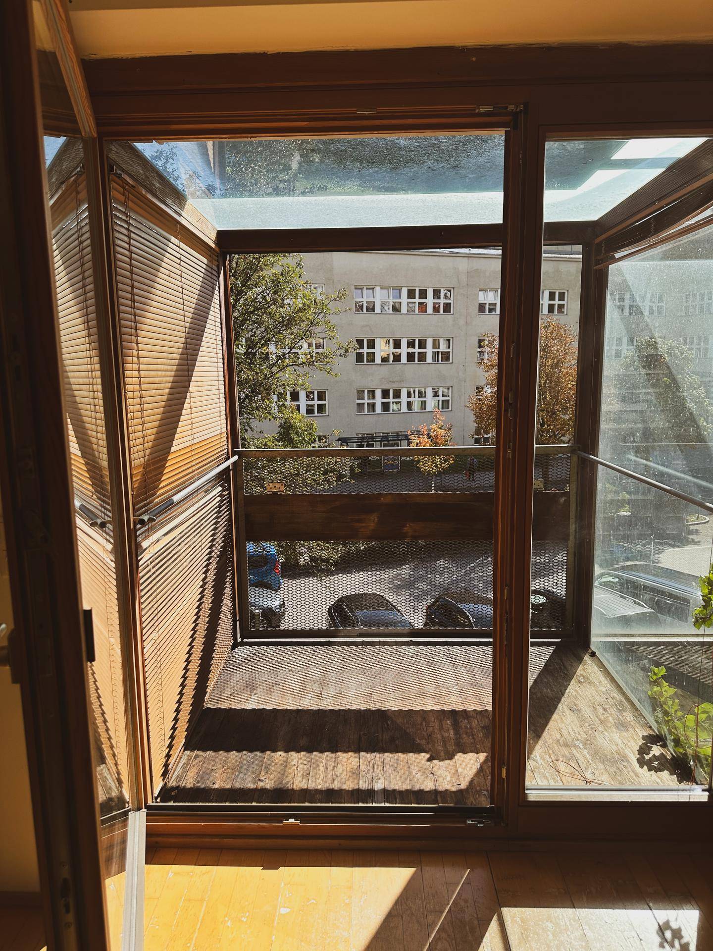 Blick vom Balkon auf die umliegenden Gebäude und den grünen Baumbestand.