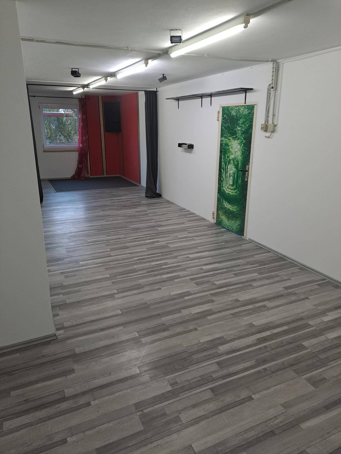 Großer, heller Raum mit Laminatboden und einer auffälligen grünen Tür.