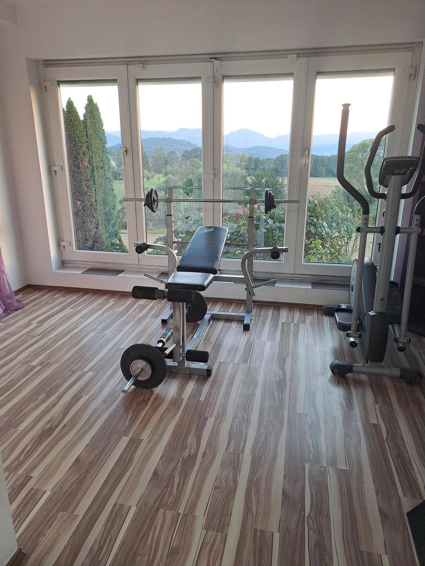 Fitnessraum mit großen Fenstern, Laminatboden und Bergblick, ausgestattet mit Trainingsgeräten.