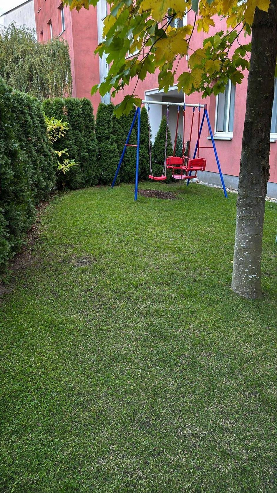 Grüner Gartenbereich mit Rasenfläche, Hecke und einem Kinderspielplatz mit Schaukel.