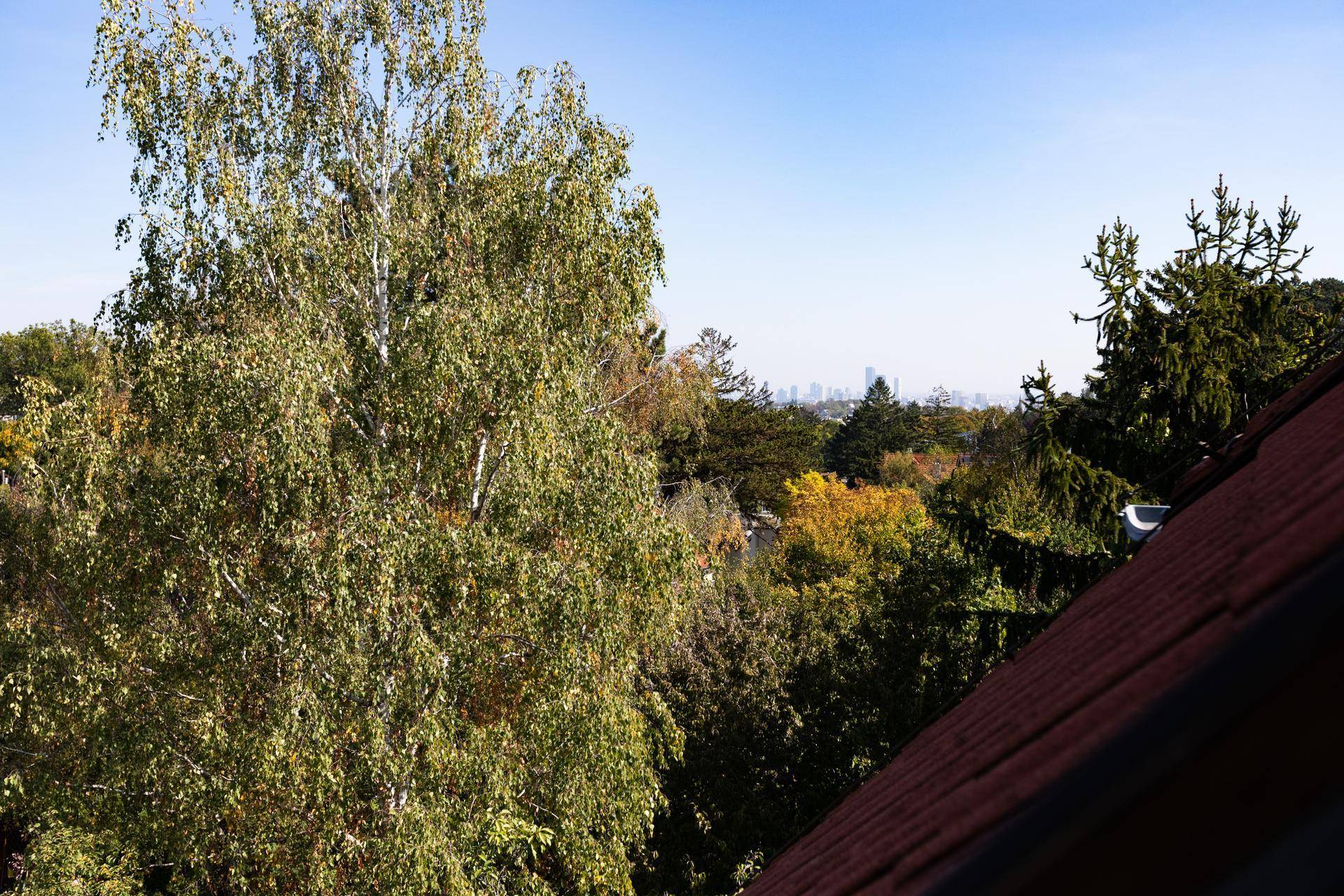 Weitläufiger Blick über grüne Baumwipfel bis zur fernen Stadtsilhouette am Horizont.