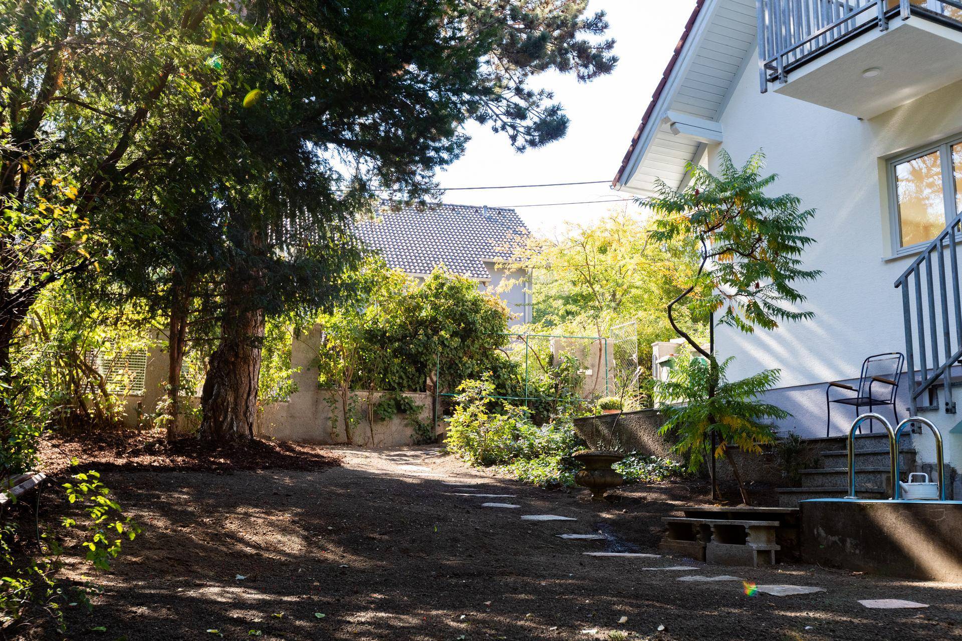 Grüner Gartenbereich mit altem Baumbestand und einem Weg aus Trittsteinen neben dem Haus.