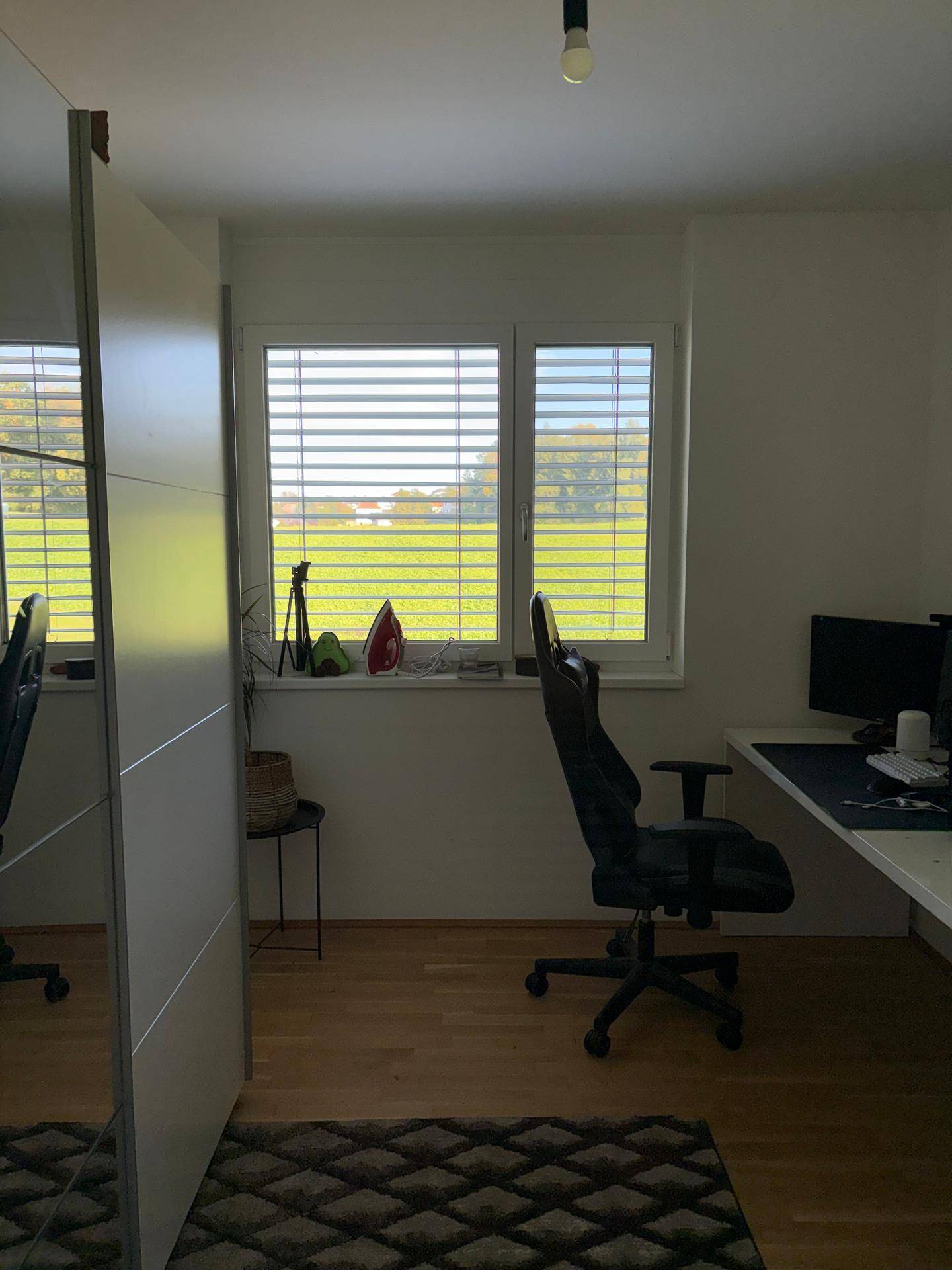 Arbeitszimmer mit Schreibtisch, Spiegelschrank und weitem Blick über grüne Felder.