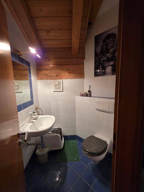 Kleines Gäste-WC mit blauen und weißen Fliesen sowie rustikaler Holzbalkendecke.