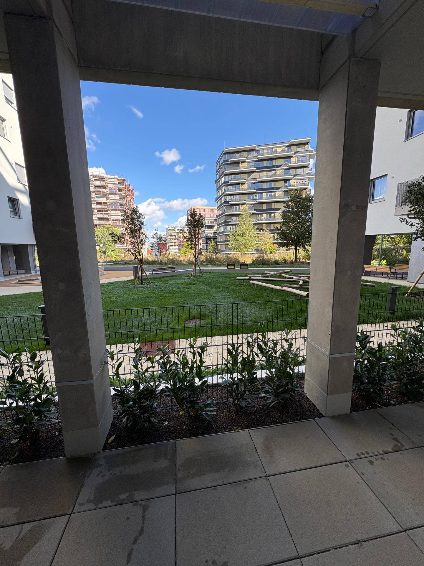 Blick auf den gepflegten Gemeinschaftsgarten mit Rasenflächen und modernen Wohngebäuden im Hintergrund.