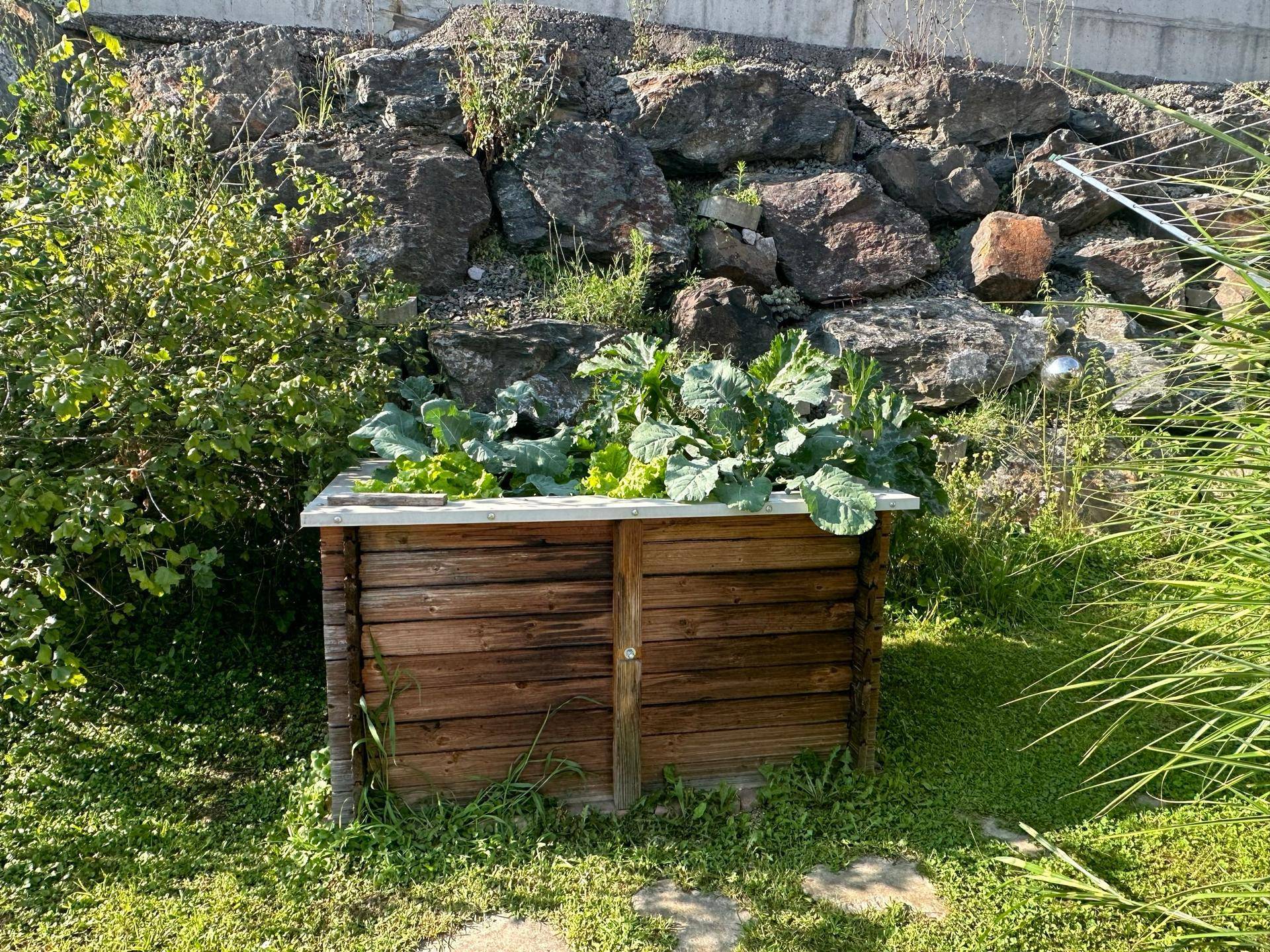 Erhöhtes Hochbeet mit frischem Gemüse vor einer Natursteinmauer im Garten.