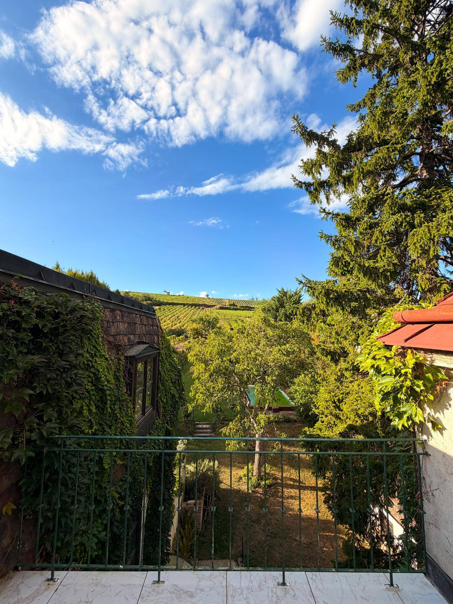Sonniger Balkon mit Fliesenboden und weitem Blick über Weinberge und grüne Landschaft.