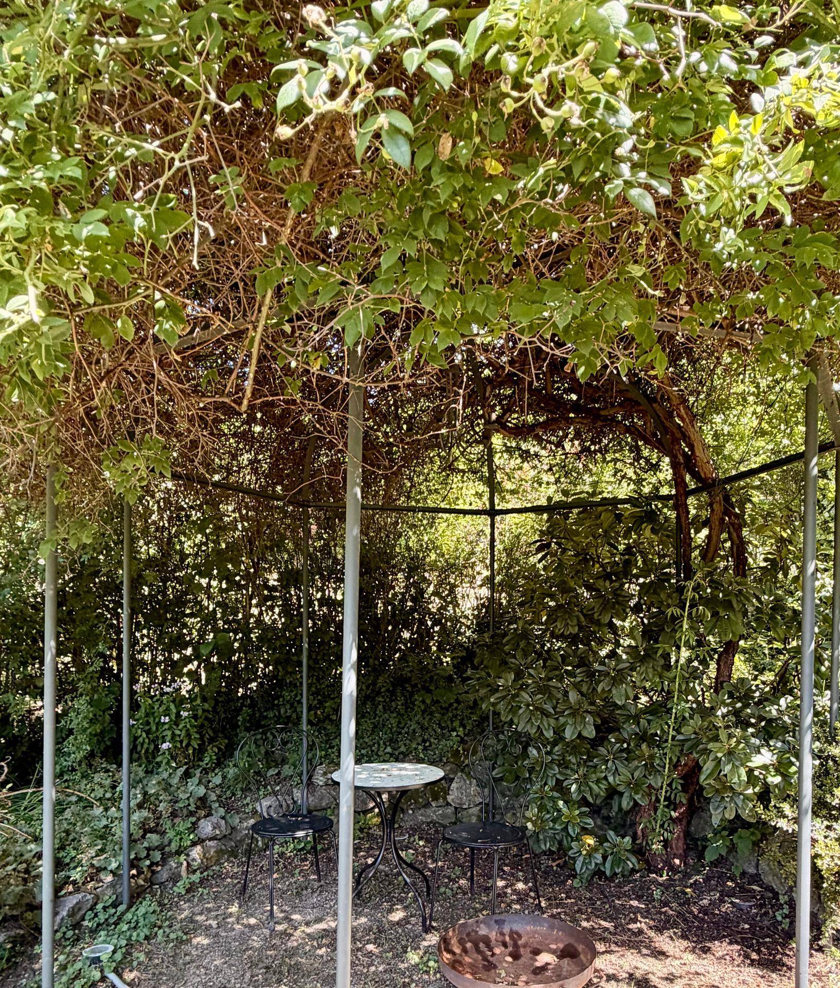 Schattiger Sitzbereich im Garten unter einem Blätterdach mit kleinem Tisch und Stühlen.