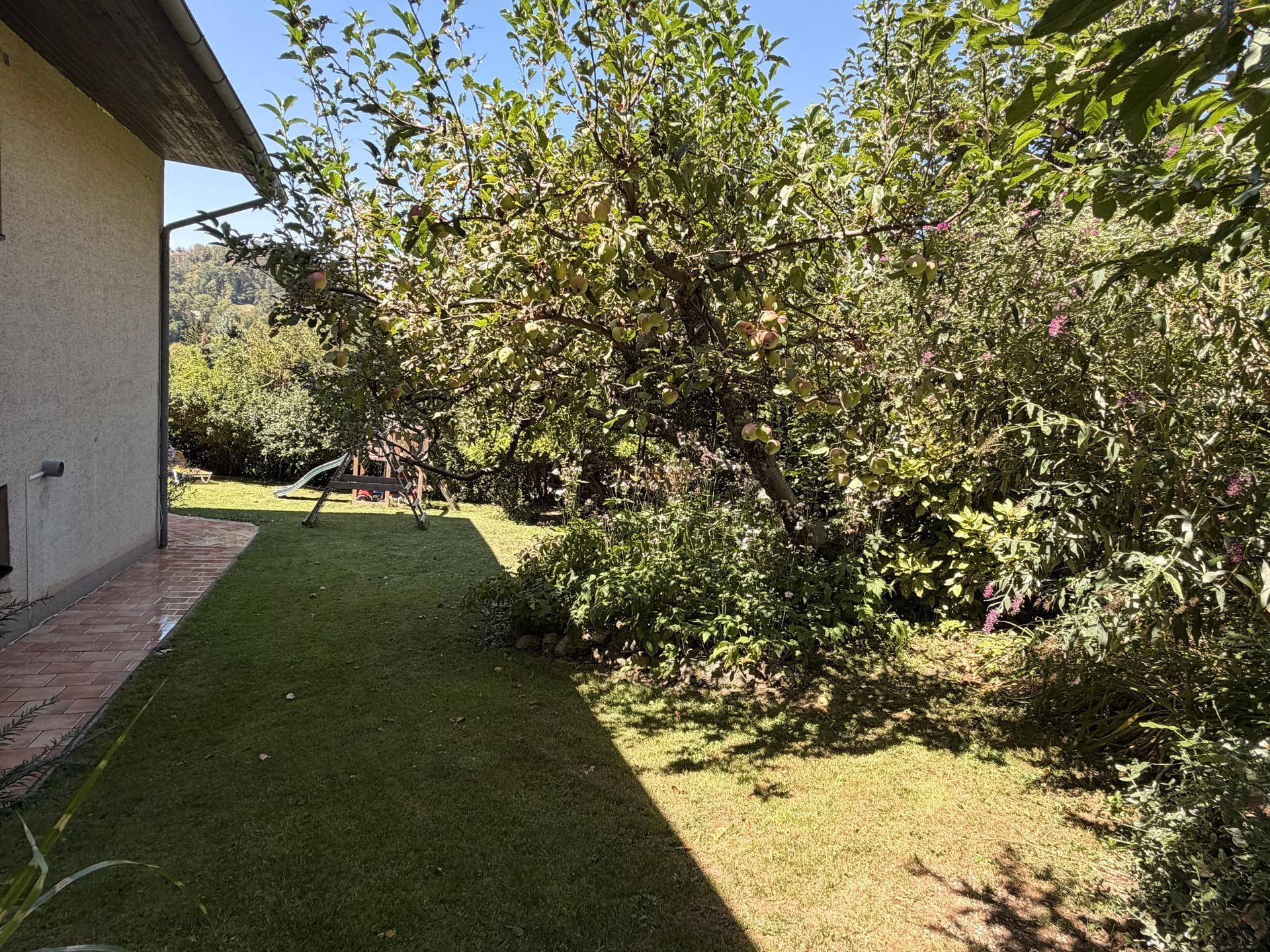 Seitenansicht des Hauses mit gepflegtem Rasen, Obstbäumen und üppiger Bepflanzung.