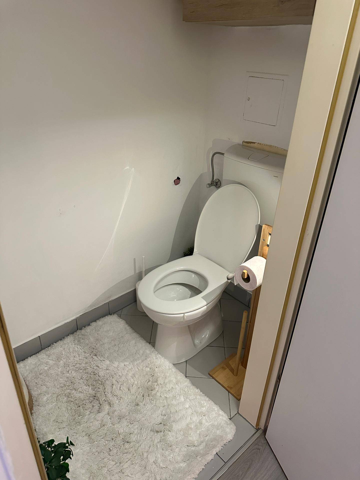 Kleines Gäste-WC mit Toilette, Fliesenboden und einem flauschigen Teppich für zusätzlichen Komfort.