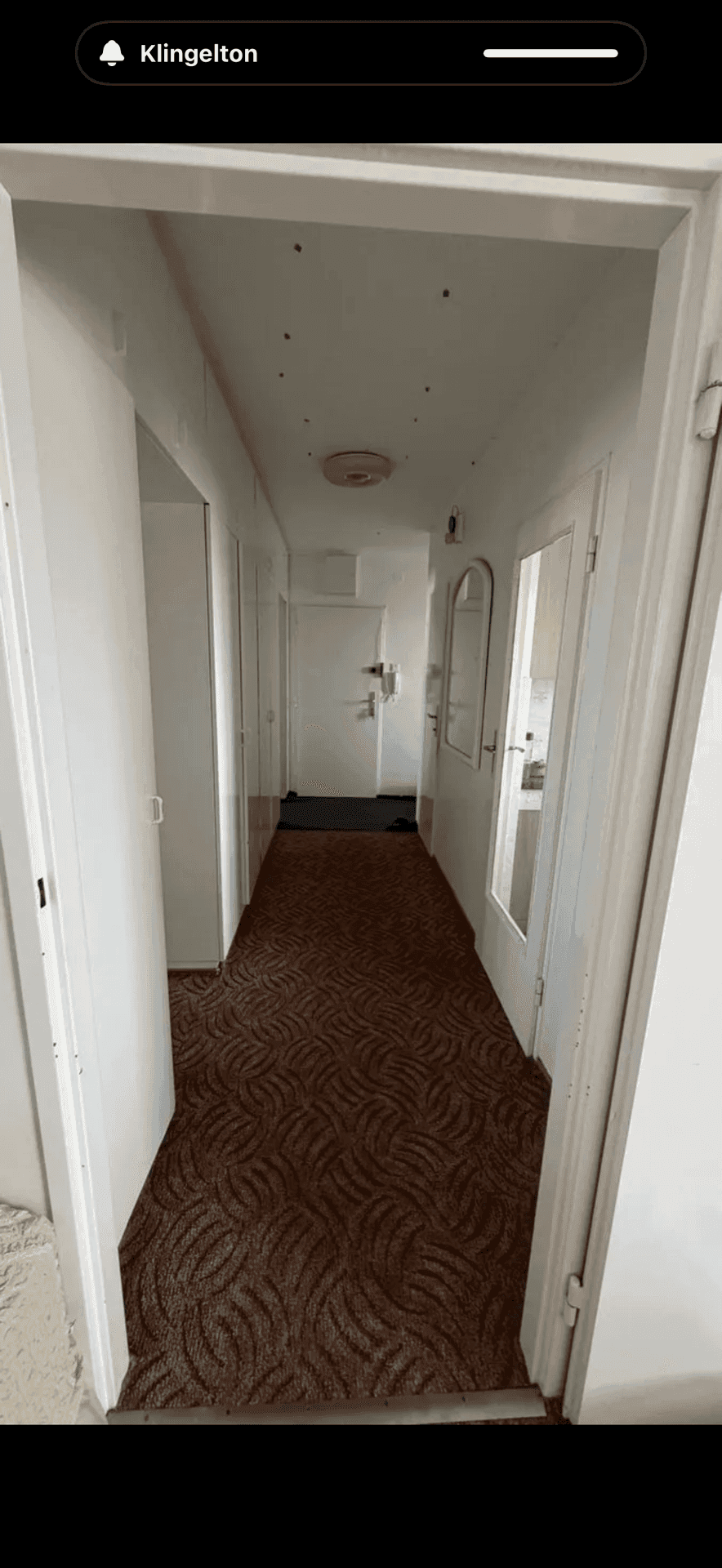 Heller Eingangsbereich mit Teppichboden und Blick auf die Wohnungstür.