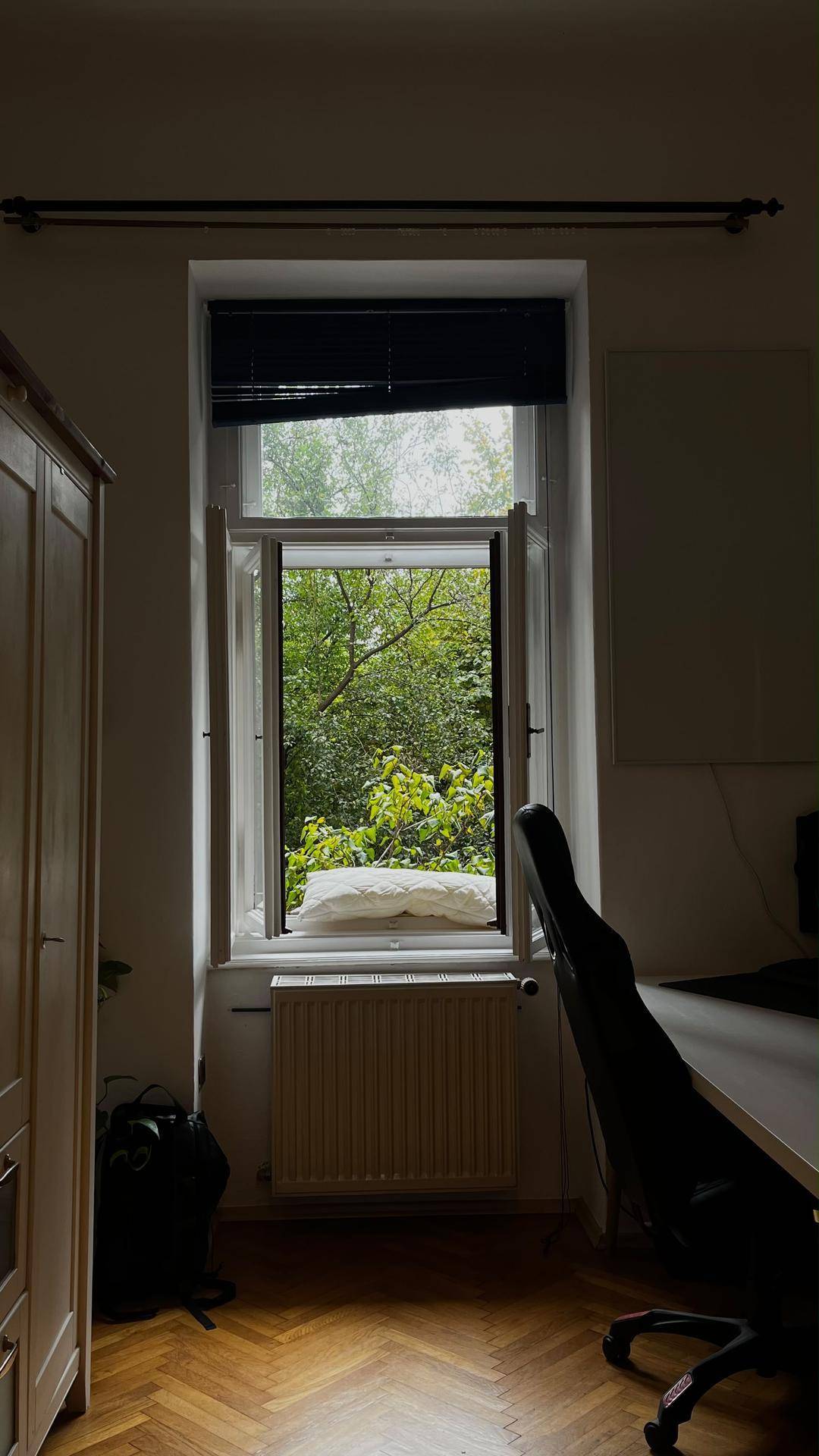 Fenster im Arbeitszimmer mit Blick auf üppiges Grün und Heizkörper darunter.