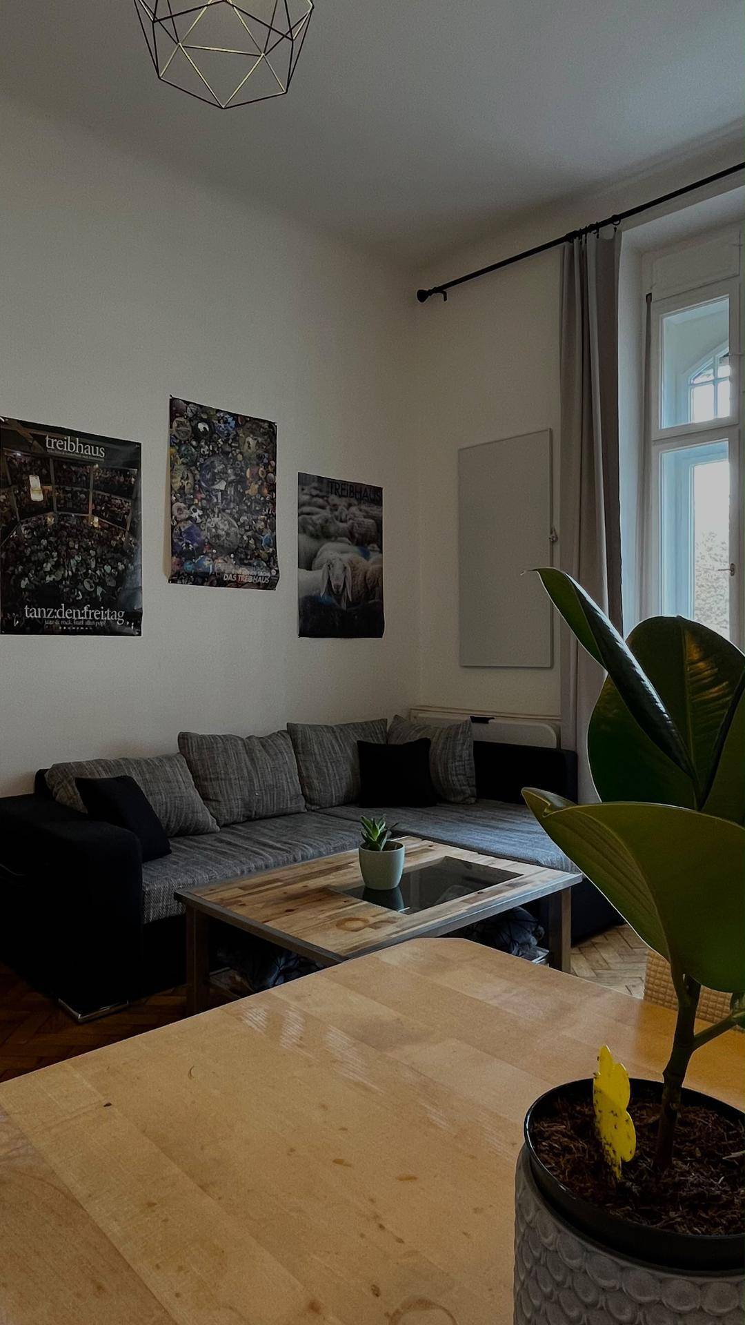 Gemütliches Wohnzimmer mit Ecksofa, Holztisch und Zimmerpflanze, gut beleuchtet.