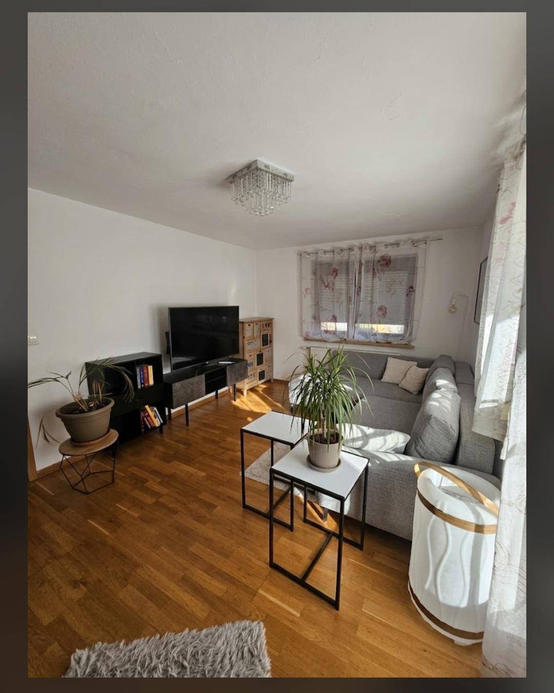 Gemütliches Wohnzimmer mit Holzboden, Fernseher und dekorativen Pflanzen für eine wohnliche Atmosphäre.