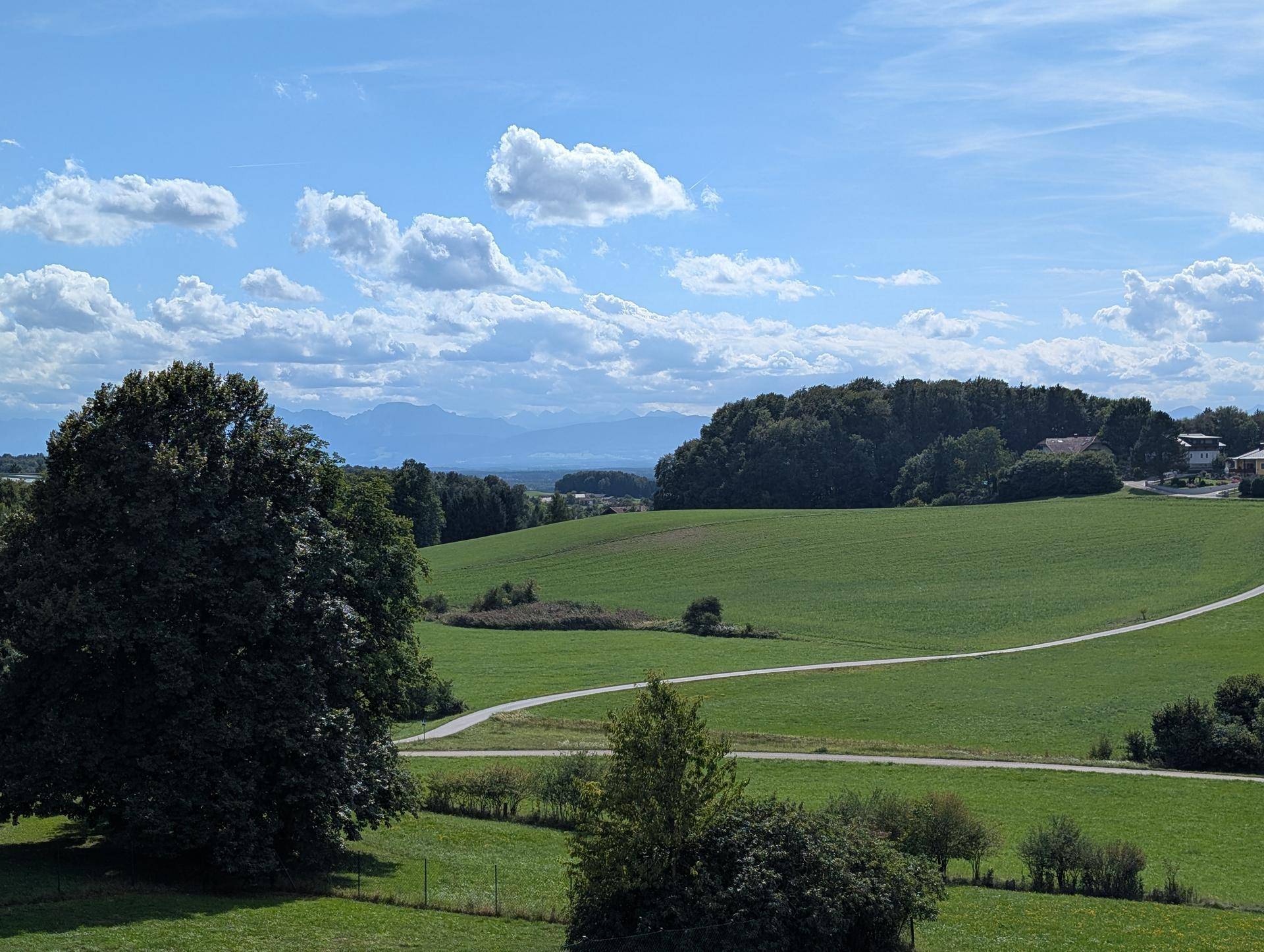 Malerische Landschaft mit grünen Feldern, Wäldern und Bergen am Horizont unter blauem Himmel.