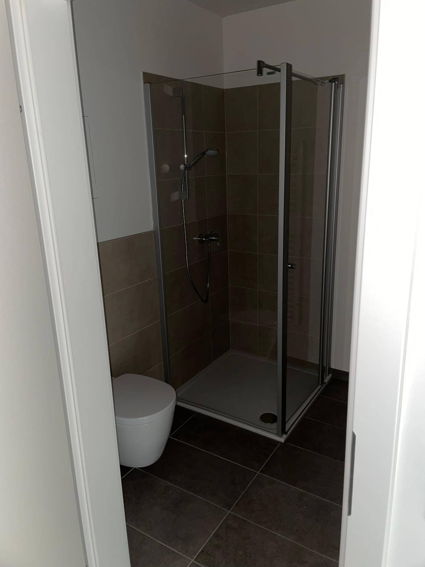 Modernes Badezimmer mit Duschkabine, Wand-WC und dunklen Fliesen an Wänden und Boden.