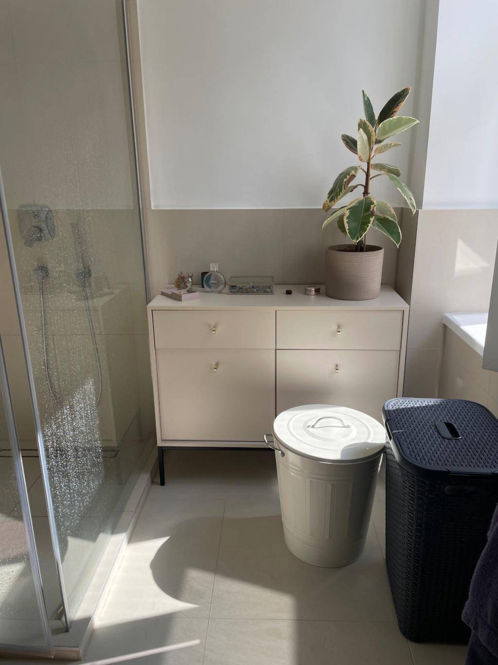 Helles Badezimmer mit Kommode, Pflanzen und Blick auf die begehbare Dusche.