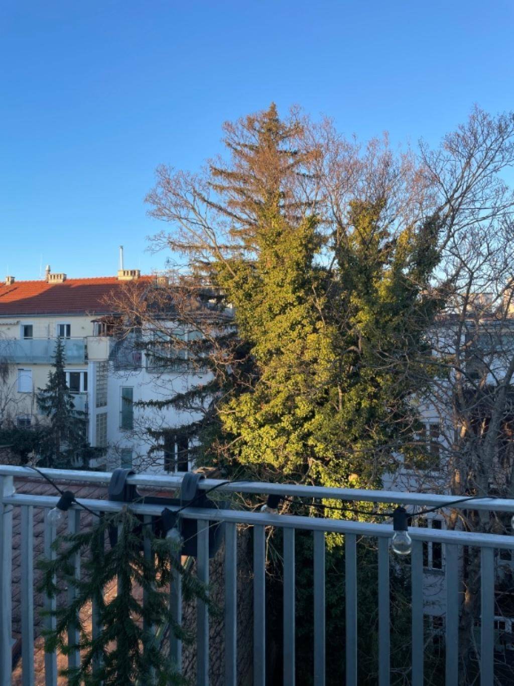 Balkon mit Blick auf winterliche Bäume und Gebäude unter klarem blauem Himmel.