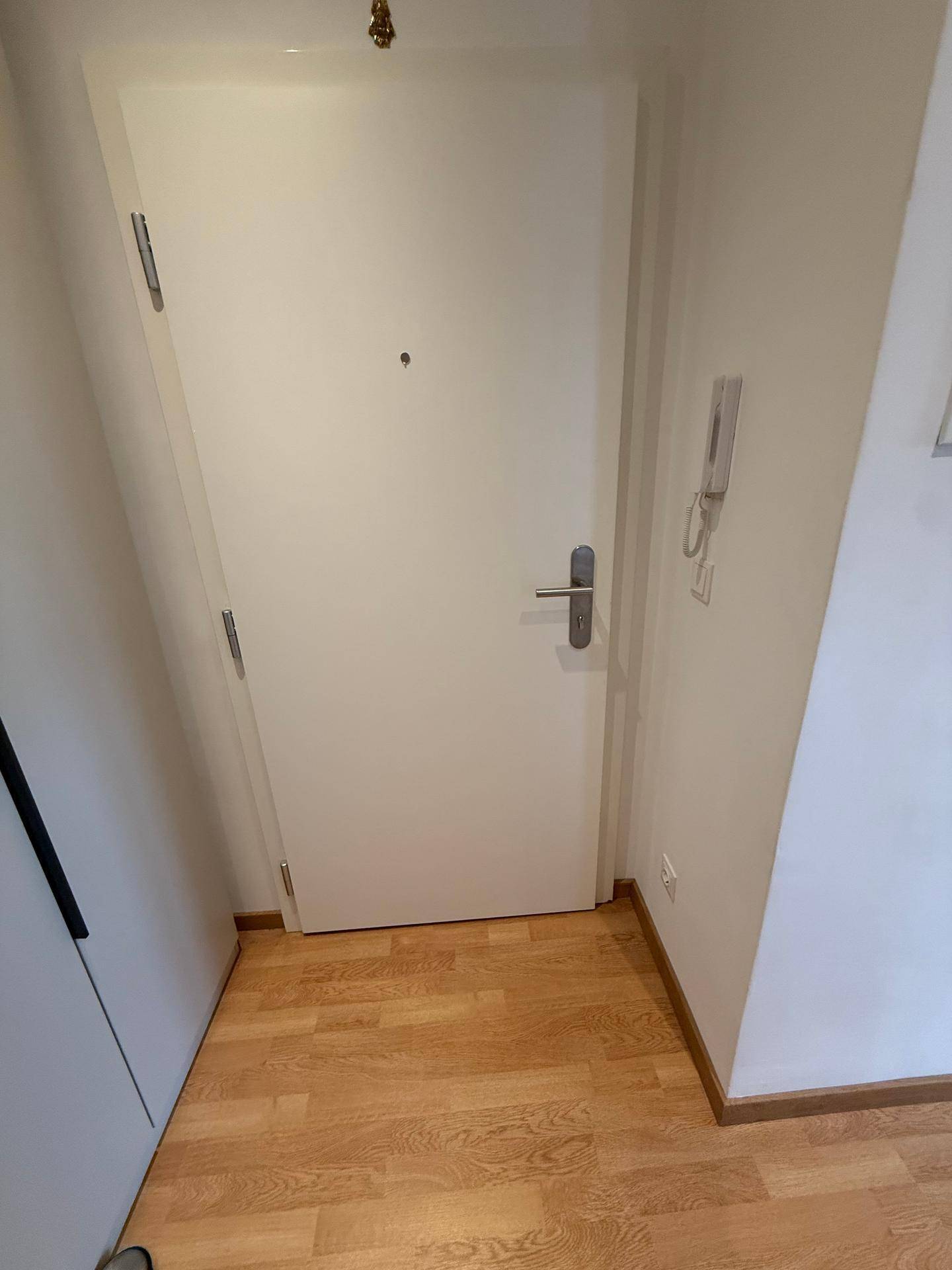 Eingangsbereich mit heller Tür und Holzfußboden, der zu den Wohnräumen führt.