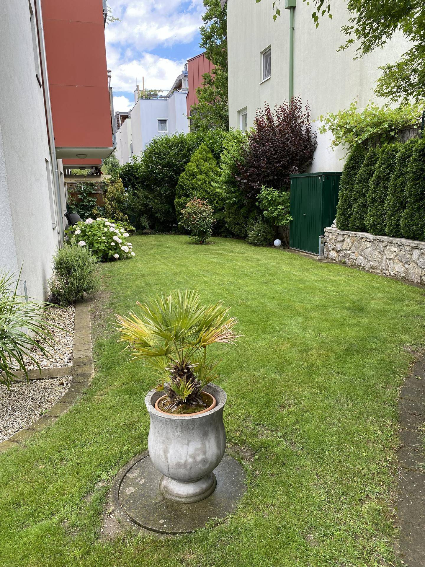 Langer, schmaler Gartenbereich mit Rasenfläche, Sträuchern und einem dekorativen Palmentopf.