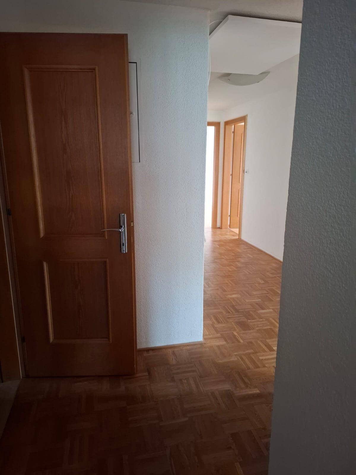 Schlichter Flur mit Holztür und Parkettboden, der den Übergang zu weiteren Räumen bildet.