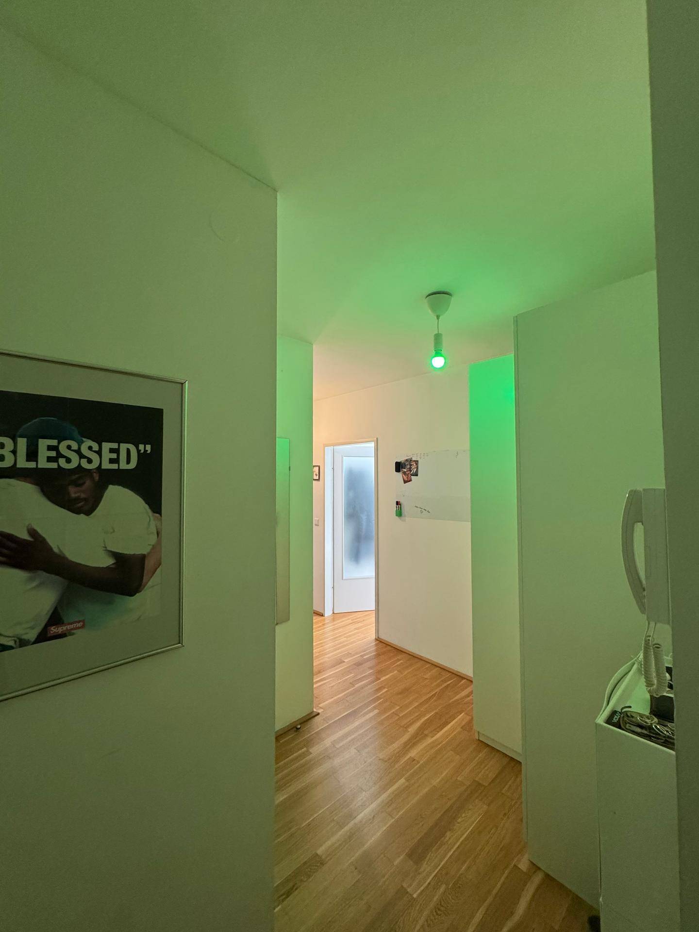 Langer Flur mit Parkettboden und einer grünen Lichtinstallation, der zu weiteren Räumen führt.