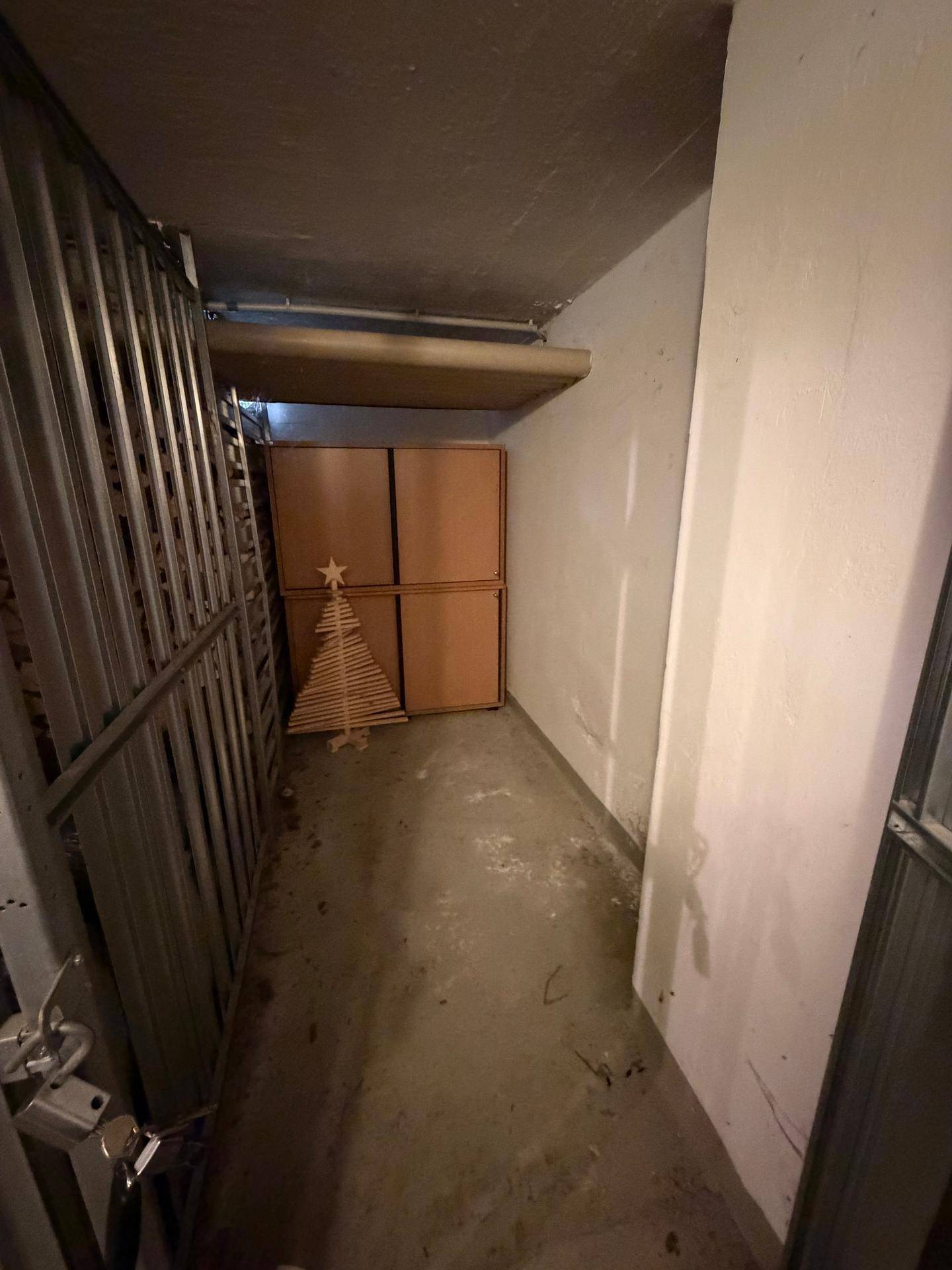 Praktischer Abstellraum im Keller mit Regalen und Stauraum für diverse Gegenstände, auf einem Betonboden.
