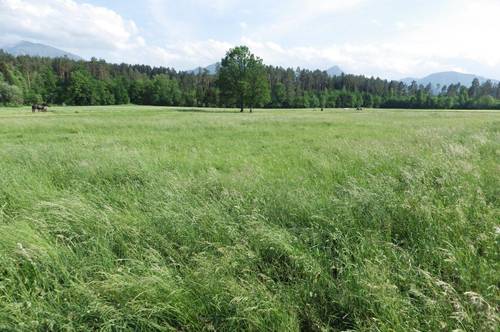 Traumhaftes, ebenes Grundstück in der Gemeinde Eberndorf, ca. 5878 m², im Seengebiet Südkärnten