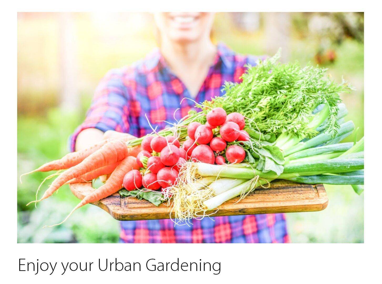 Enjoy Urban Gardening