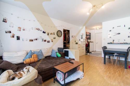 WG geeignet! 4-Zimmer-Wohnung mit Loggia in Linz/Urfahr zu vermieten