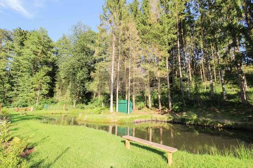 Weitläufiges Idyll bei Graz: Freiland mit Wald- und Wiesenflächen sowie großem Teich