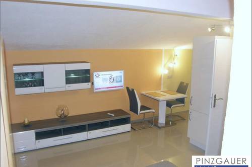 Kleine Single-Wohnung in ruhiger und sonniger Lage in einem Privathaus in Abtenau - 24 m²