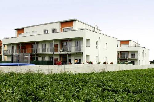 Palterndorf. geförderte 3 Zimmer Wohnung | Balkon | Miete mit Kaufrecht.