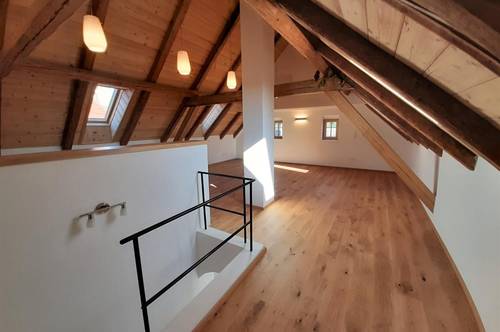 exquisite 175 m²-Wohnung im neu restaurierten Wohnhaus - individuelles Wohnen im Zentrum von Neuzeug