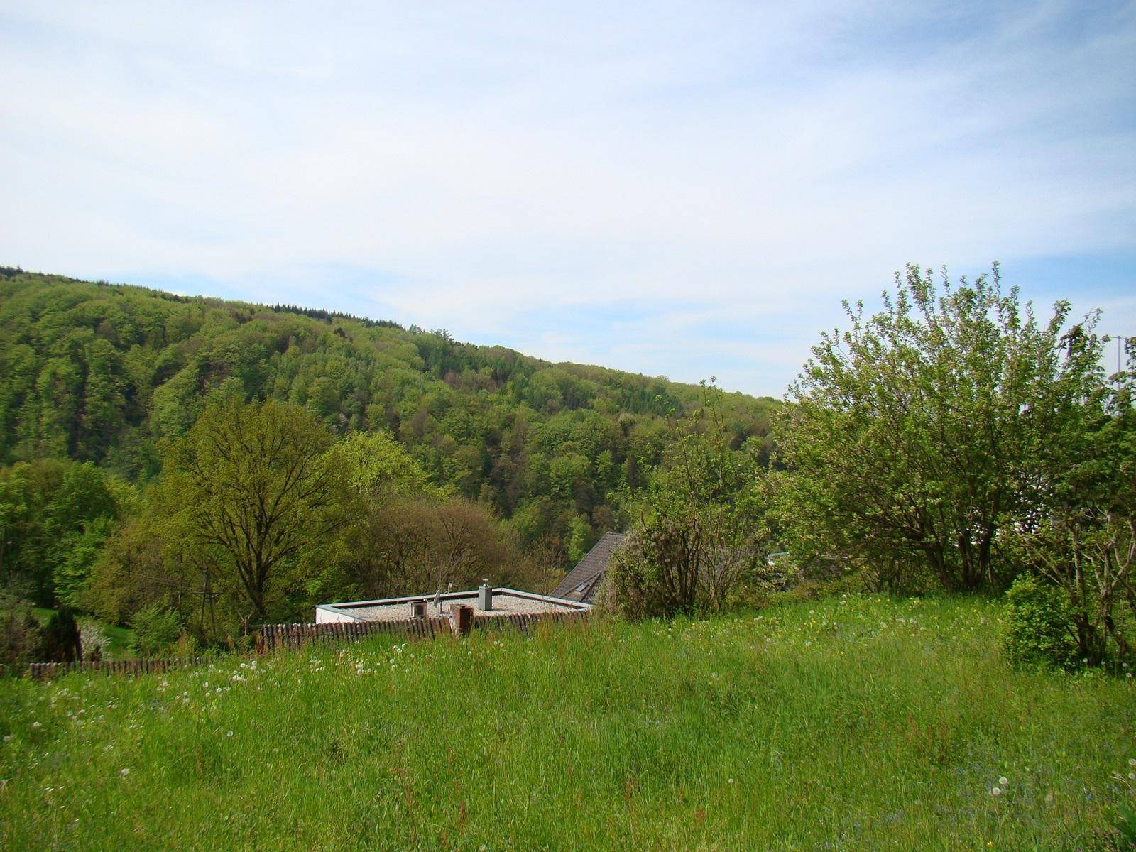 Panorama Puchenau