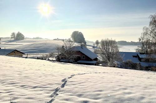 Winterzauber: 35 km nördl. von Salzburg - Stylisches Landhaus mit Einliegerwohnung und Doppelgarage