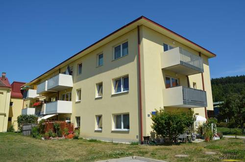 Betreubares Wohnen in Mayerling (Bezirk Alland) - schöne 2 Zimmerwohnung mit gemütlichem Balkon (Top 8)
