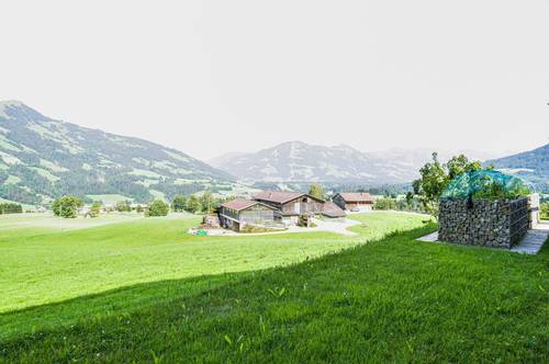 2 Zimmer Wohnung mit Panoramablick auf die Kitzbüheler Alpen - Hohe Salve und Wilden Kaiser