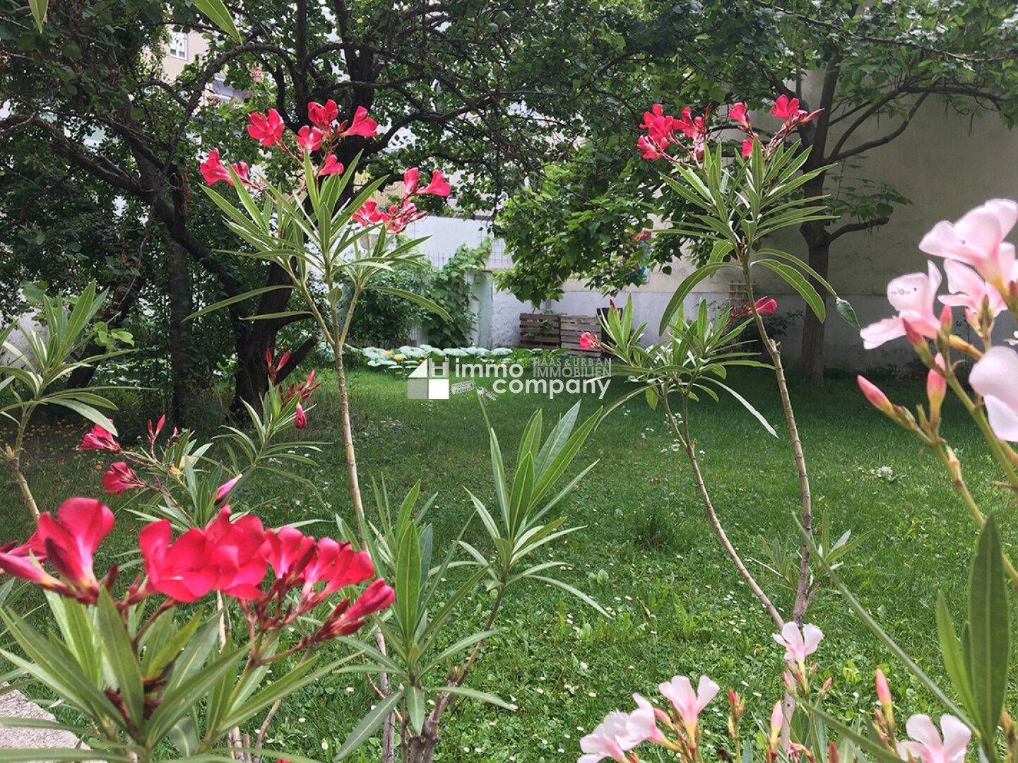 15 Foto Garten mit Oleander.low