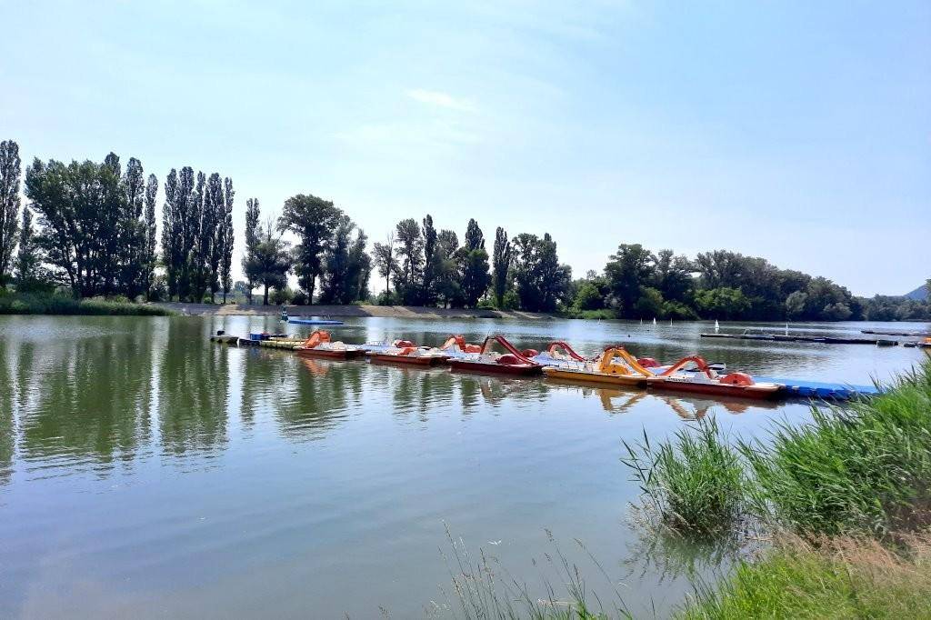 Schwimmen oder Bootfahren im Donauarm