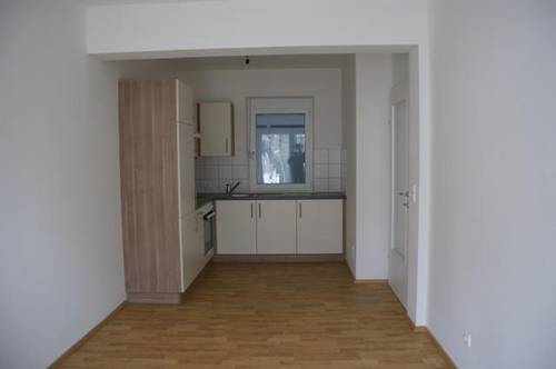 Strassgang - 35 m² - 2 Zimmer Wohnung - neuwertiger Zustand - Eigengarten - inkl. Autoabstellplatz